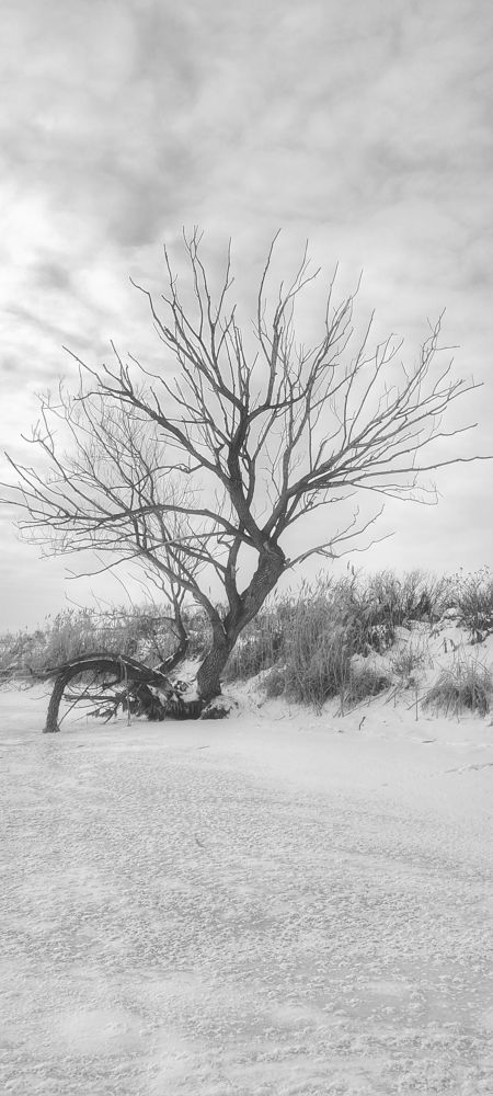 Photograph by Валентин Волк