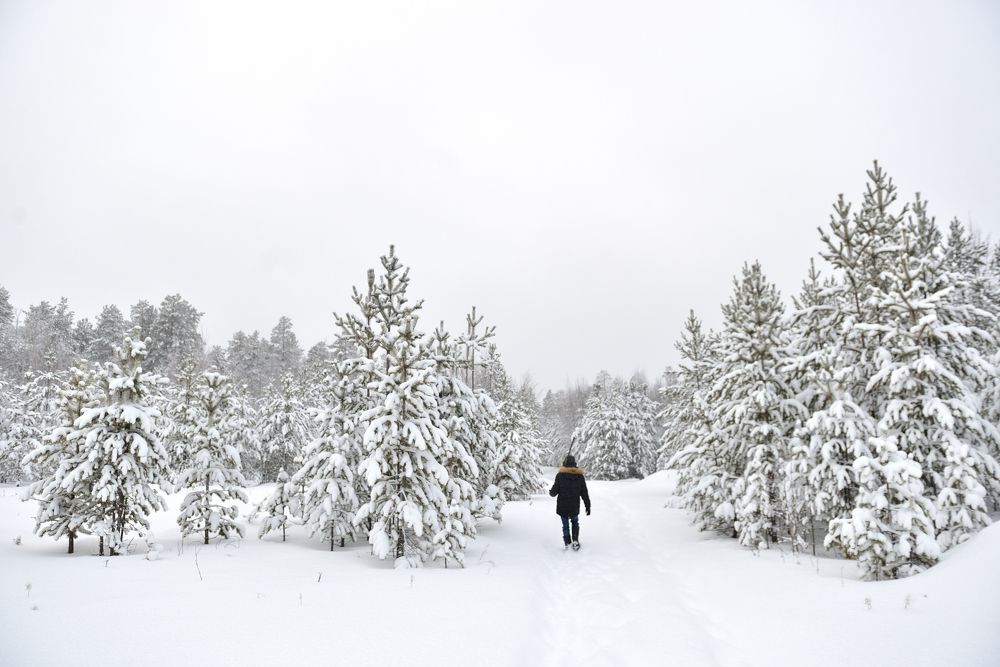 Photograph by Елизавета Лысенко
