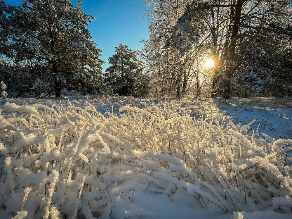 Декабрьское солнце