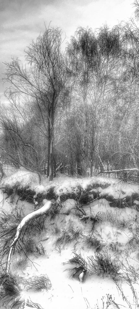 Photograph by Валентин Волк