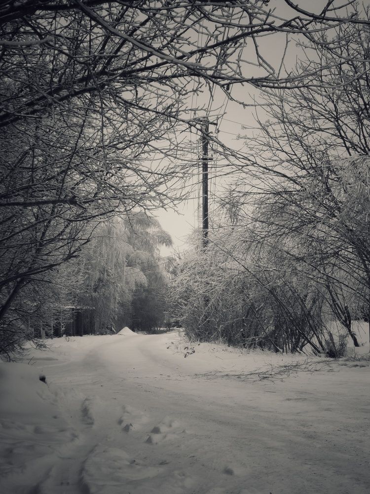 Photograph by Дмитрий Головко