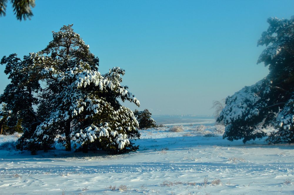 Photograph by Ирина Шибитова