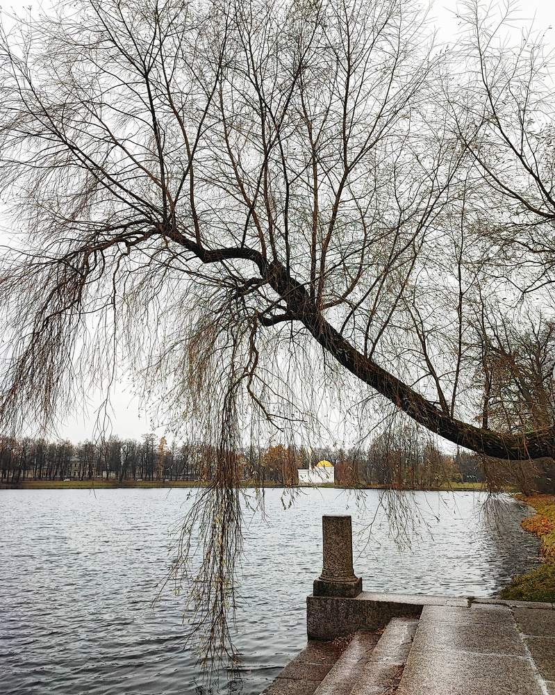 Photograph by Ксения Щеголева