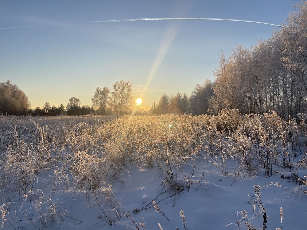 Photograph by Лыжин Григорий