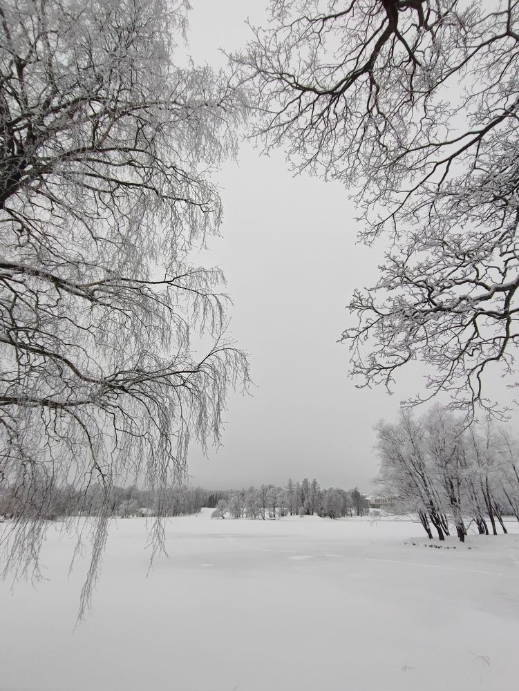 Photo #8485861