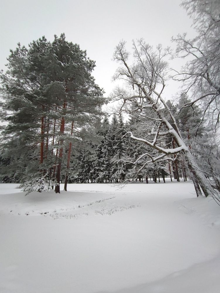 Photograph by Ксения Щеголева