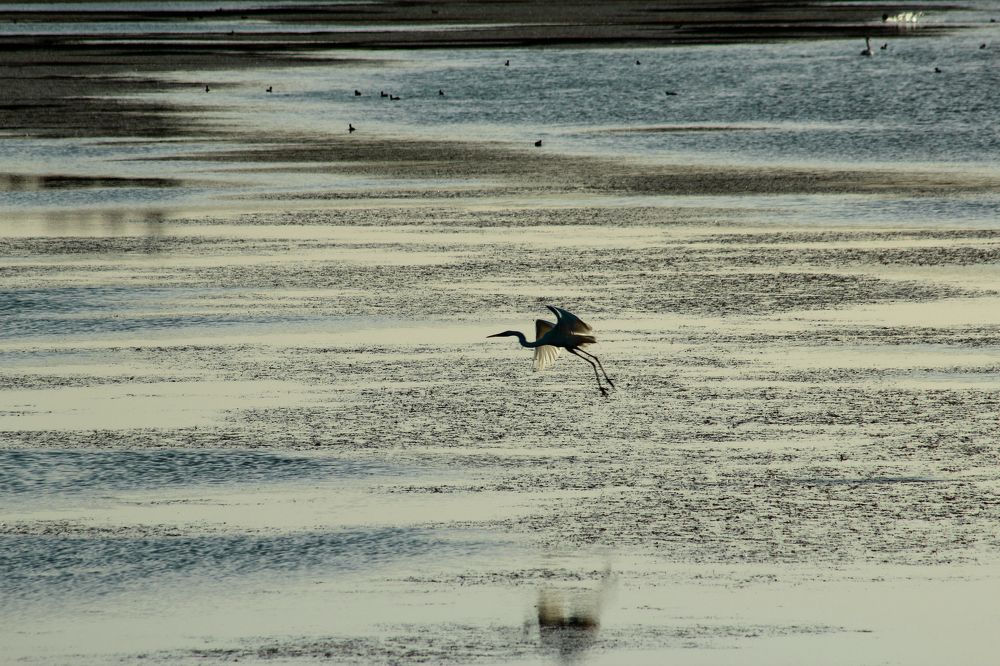 Photograph by Ирина Шибитова