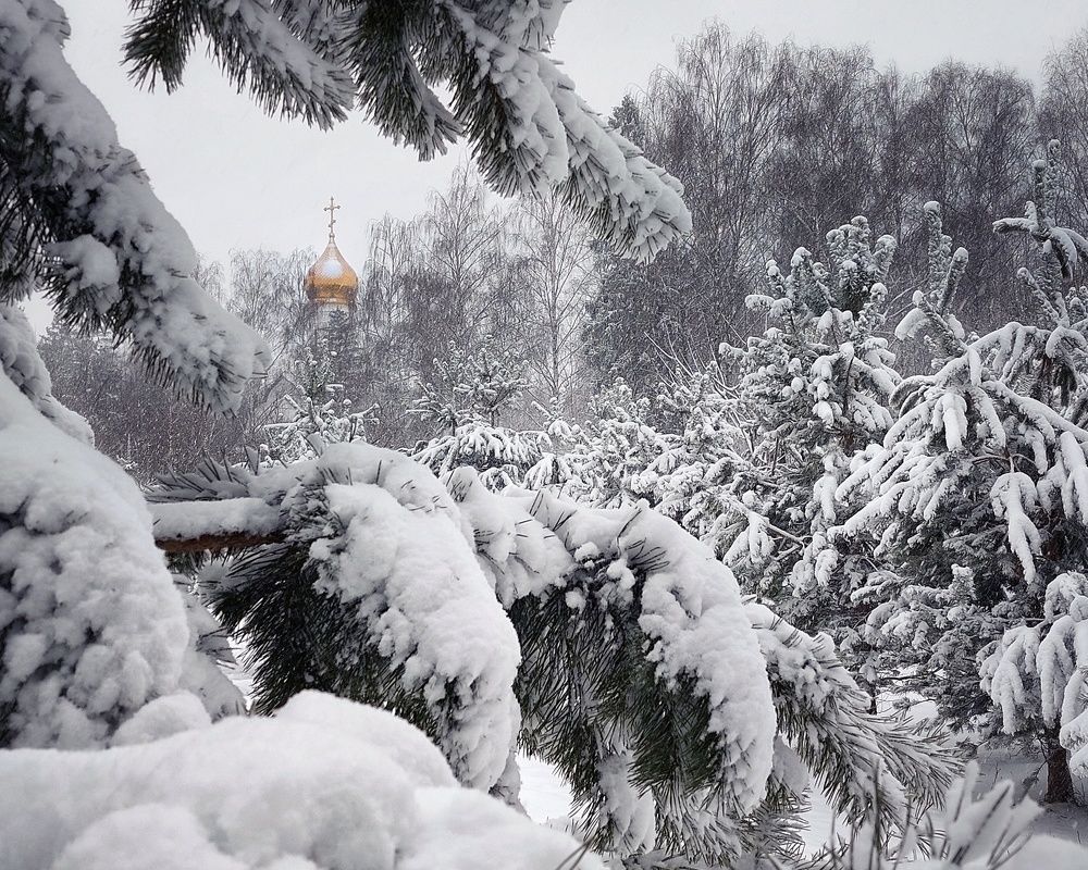 Photograph by Сергей Малашкин