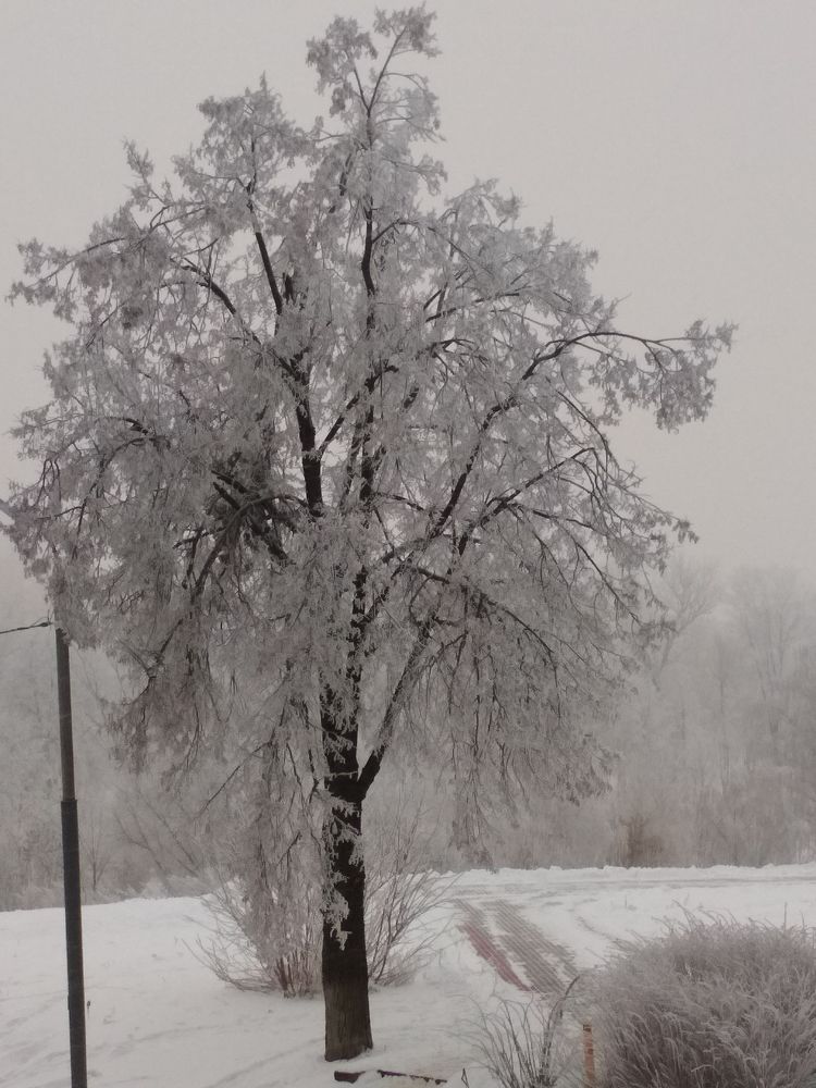 Из окна работы