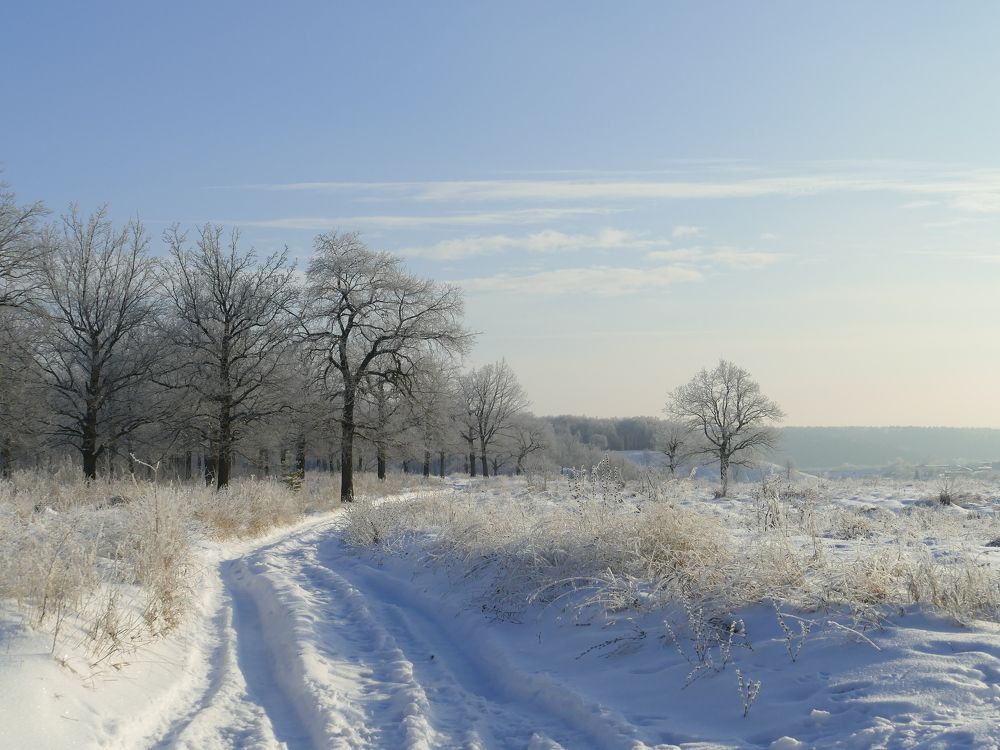 Photograph by Александр Кизим