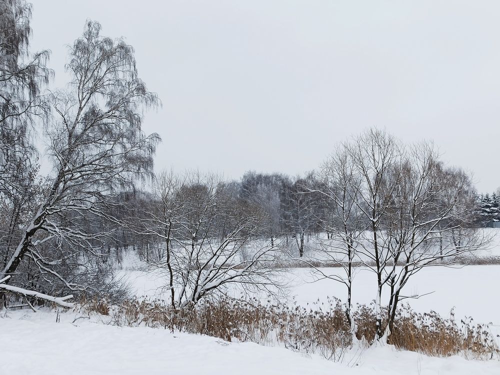 Photograph by Елена Затевалова