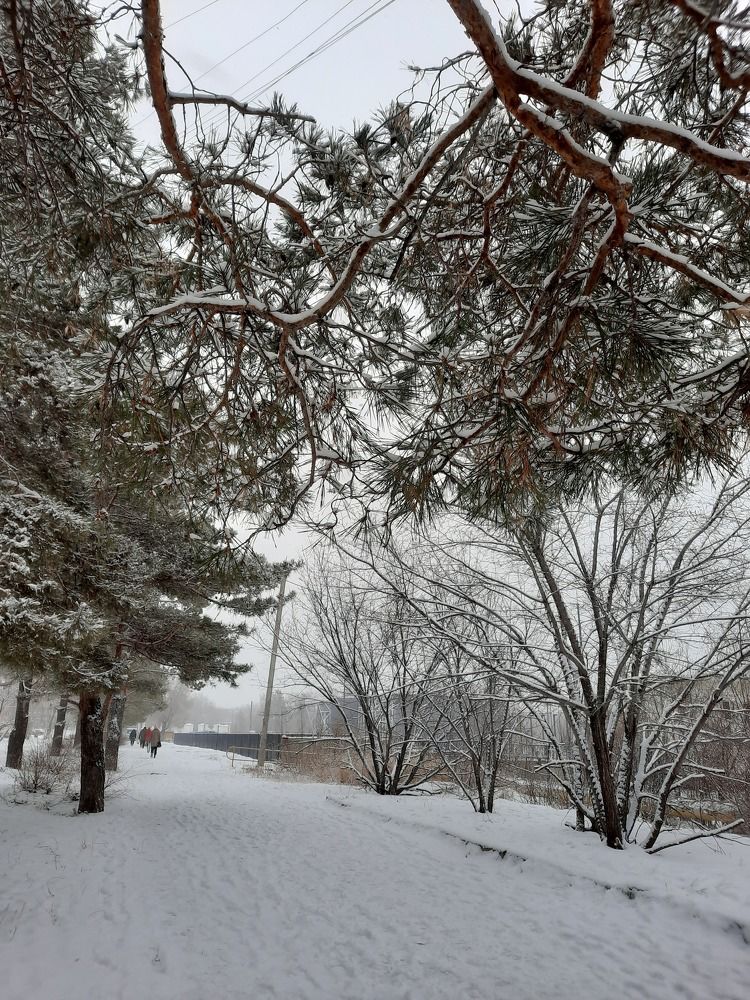 Photograph by Евгения Митюшкина