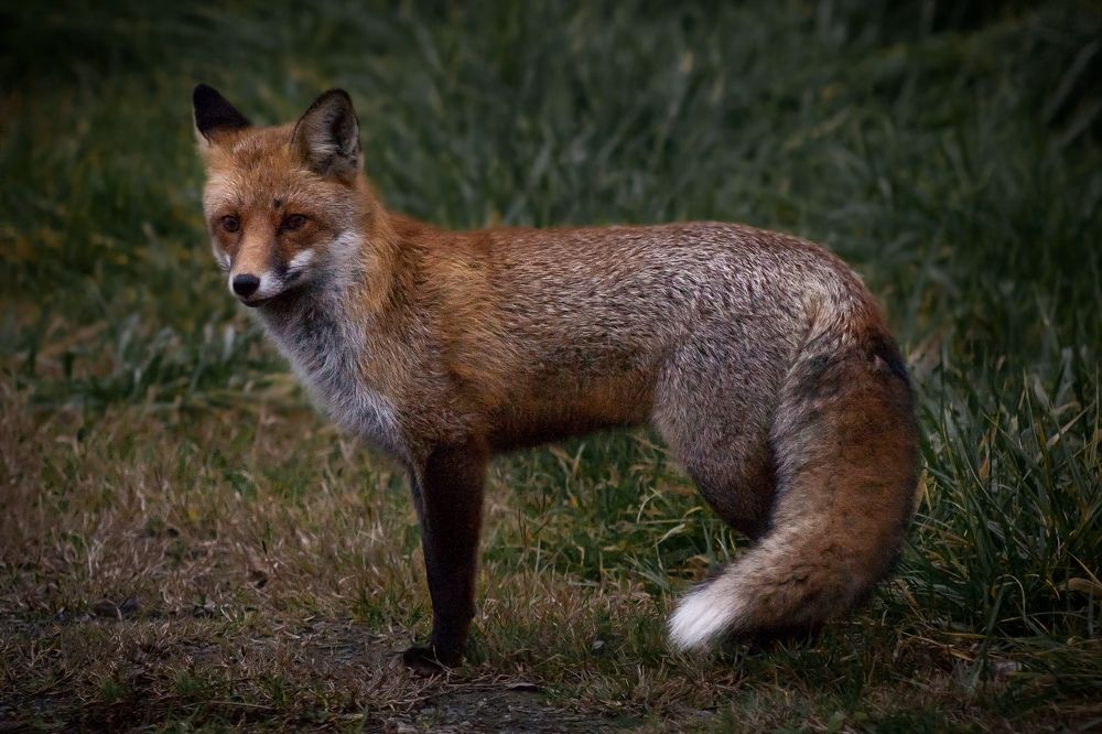 Photograph by Bruno Golemac