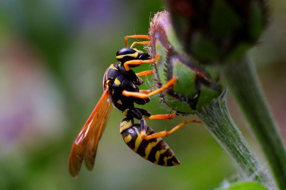 Photograph by салим насыпов