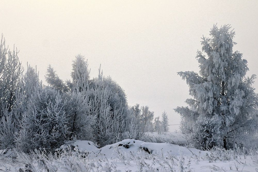 Photograph by Инна Карасева