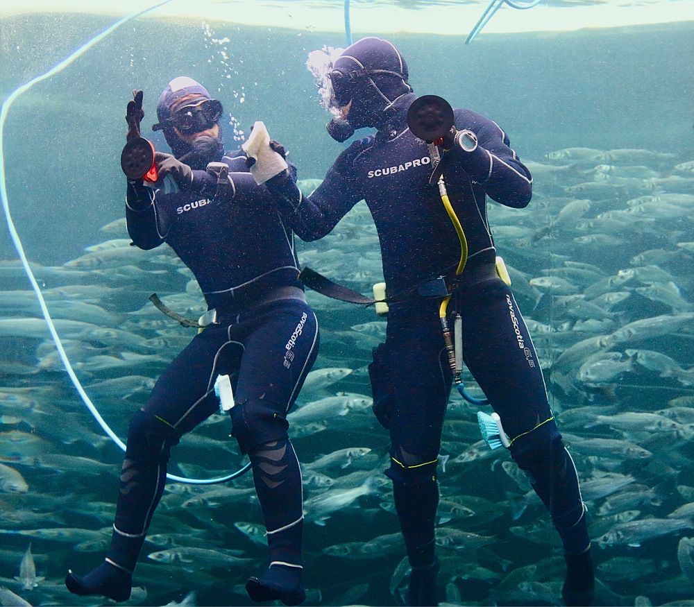 Photograph by ЗОЯ МЕДВЕДЕВА