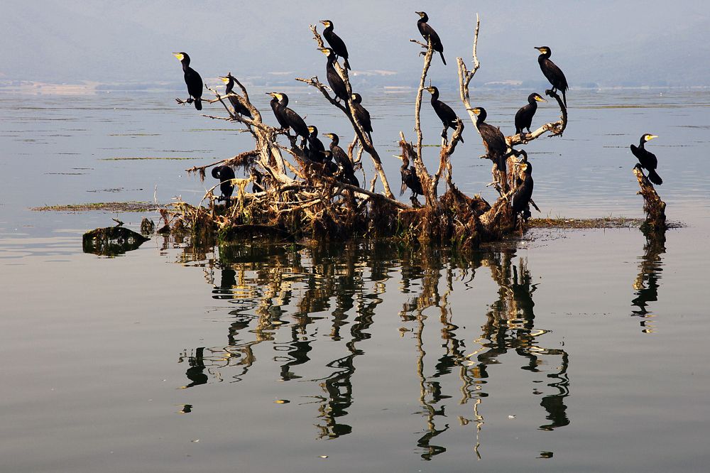 Photograph by MIHALIS KONSTANDINIDIS