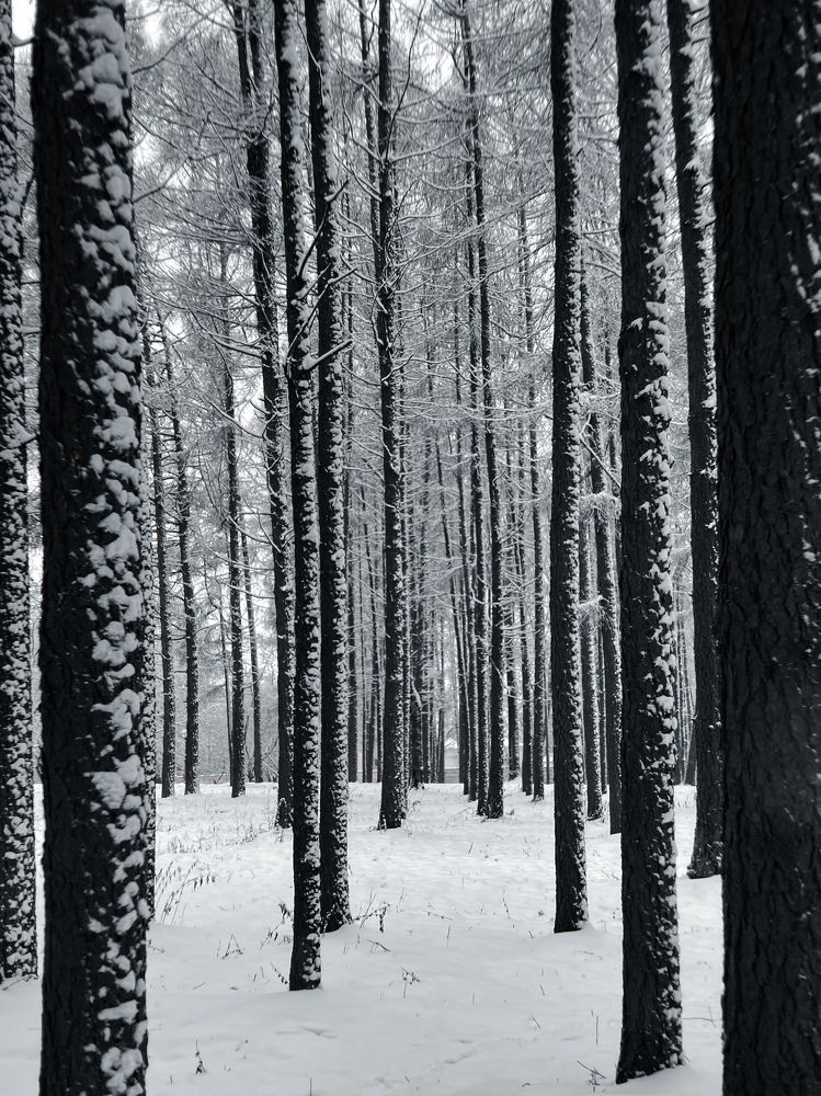 Photograph by Uladzimir Hvozd