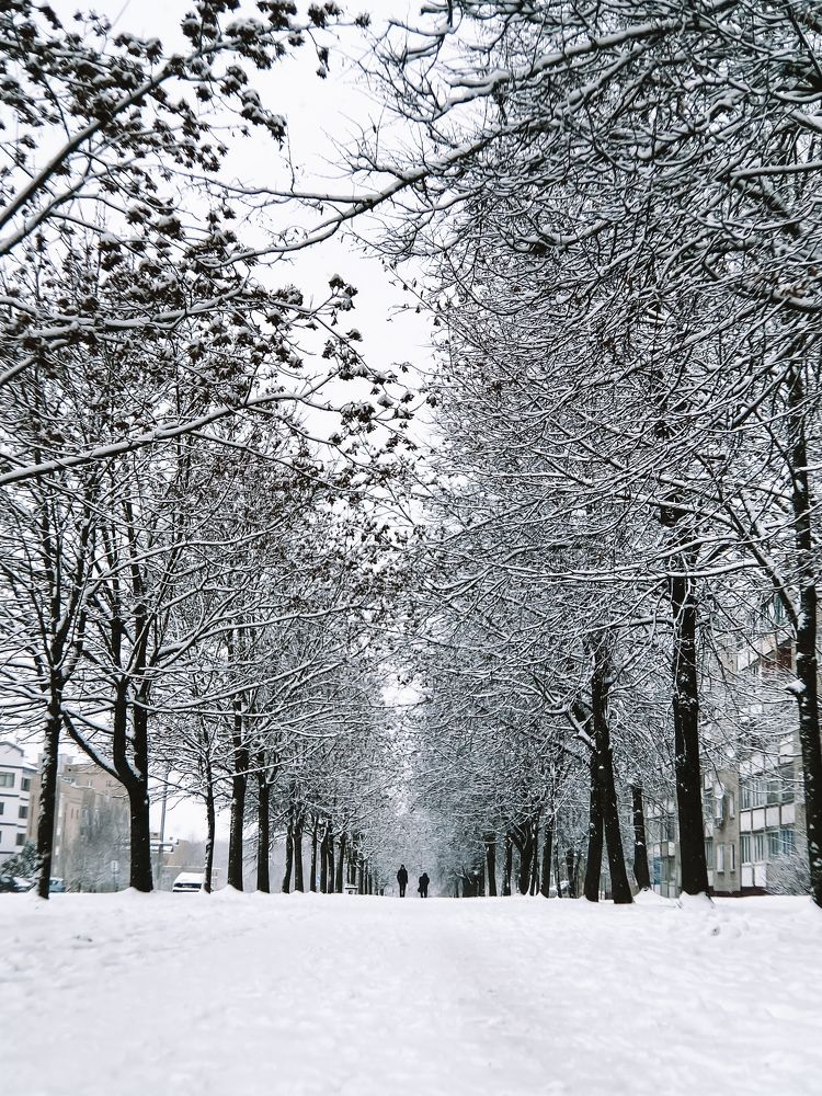 Photograph by Uladzimir Hvozd