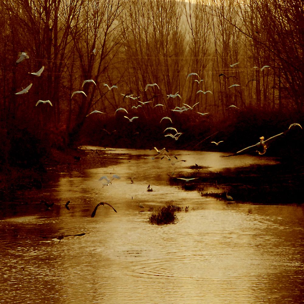 Photograph by MIHALIS KONSTANDINIDIS