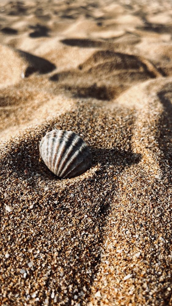 Фотография автора Marisa