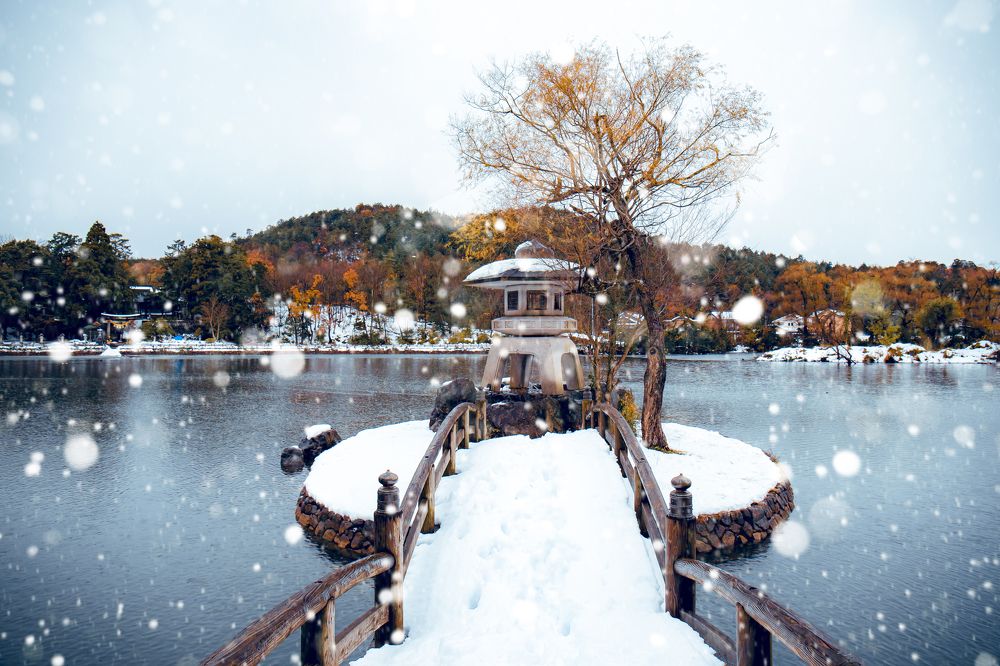 Photograph by Quang Dieu Le