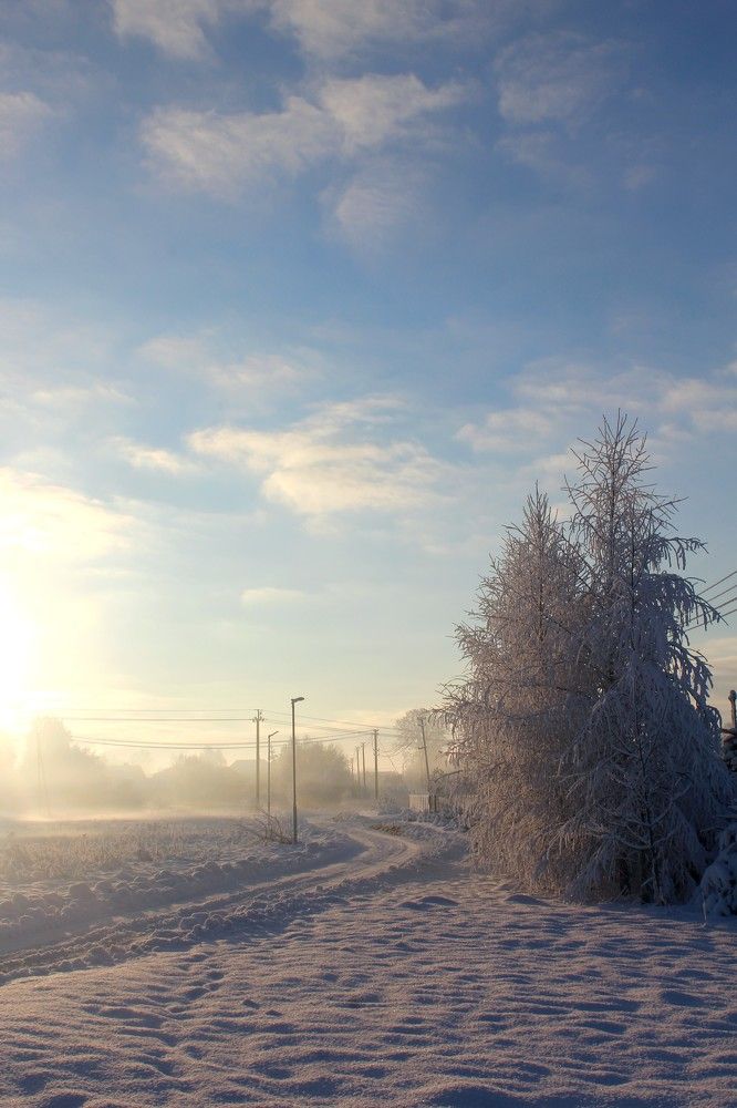 Photograph by Ольга Антанавичене