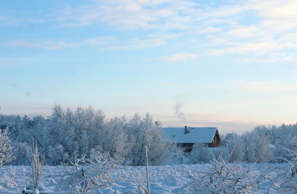 Photograph by Ольга Антанавичене