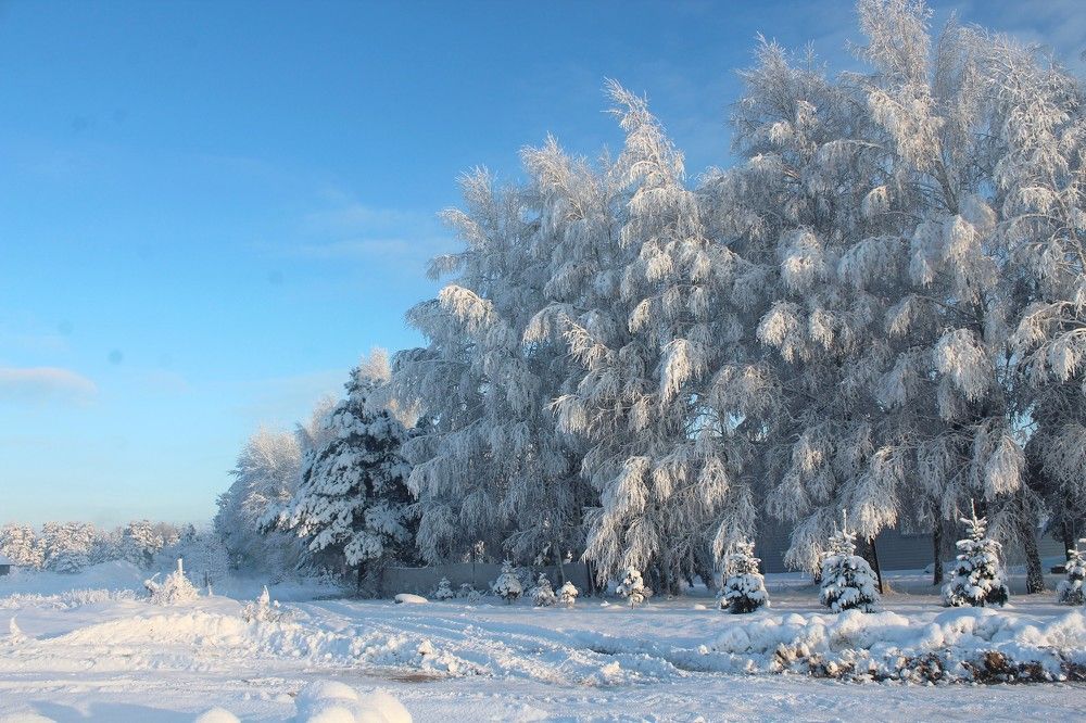 Photograph by Ольга Антанавичене