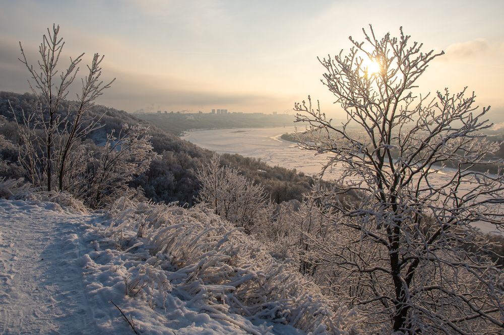 Photograph by Александрова Ольга