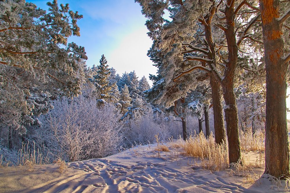 Photograph by Василий Быстрицкий