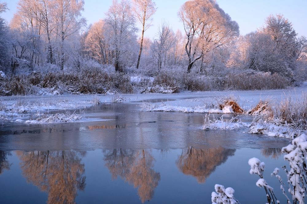 Photograph by Rita Būgienė