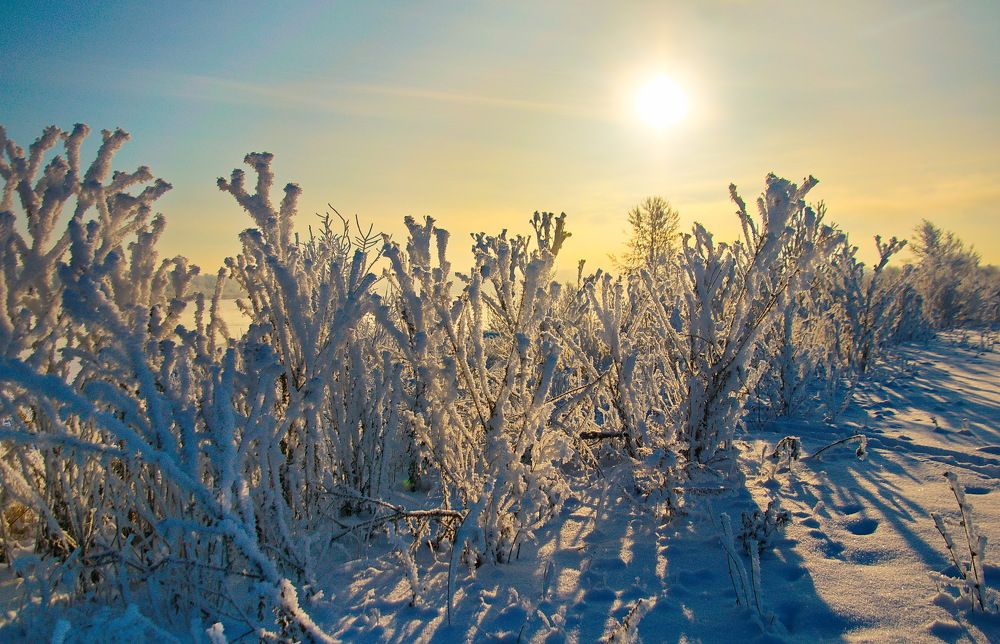 Photograph by Василий Быстрицкий