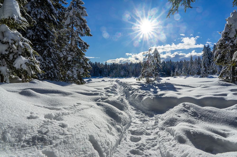 Photograph by Miha Kacafura