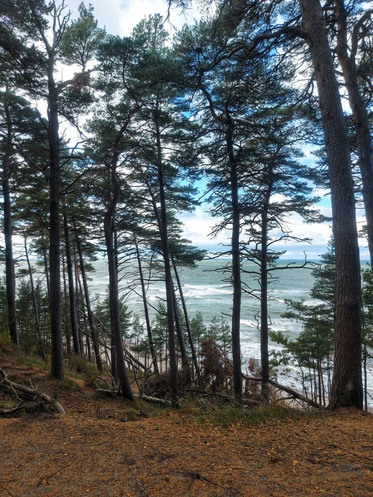 Photograph by Ольга Антанавичене