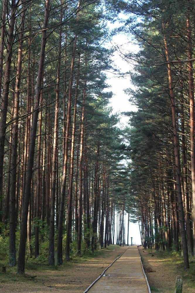 Photograph by Ольга Антанавичене