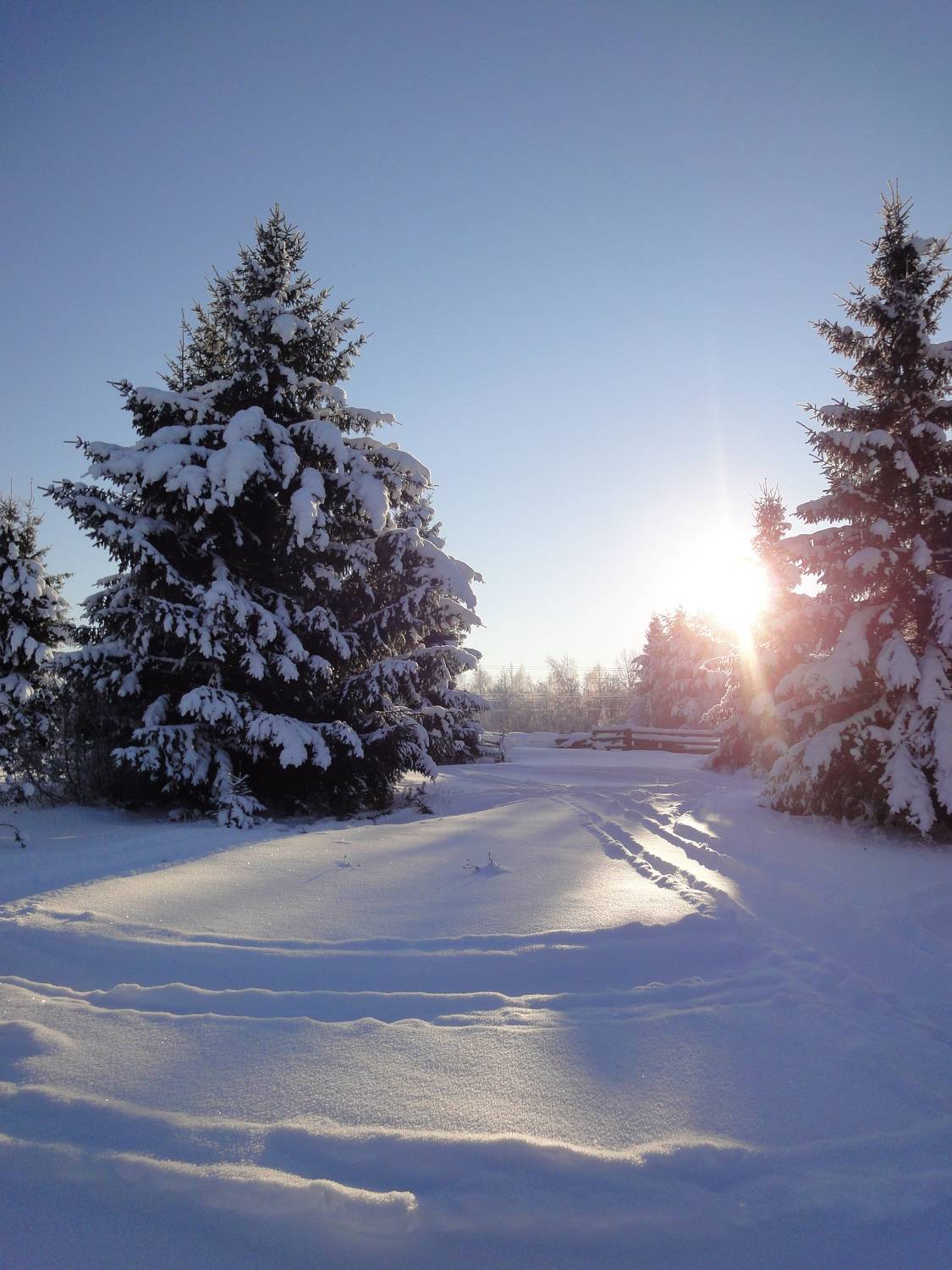 Photo #8486267