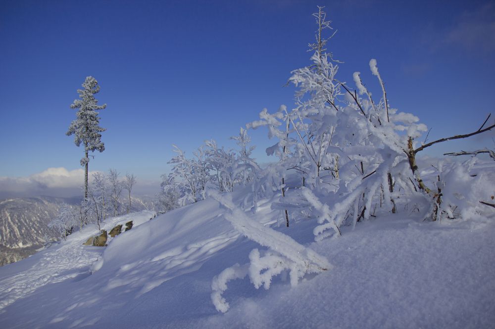 Photograph by Елена Павлова