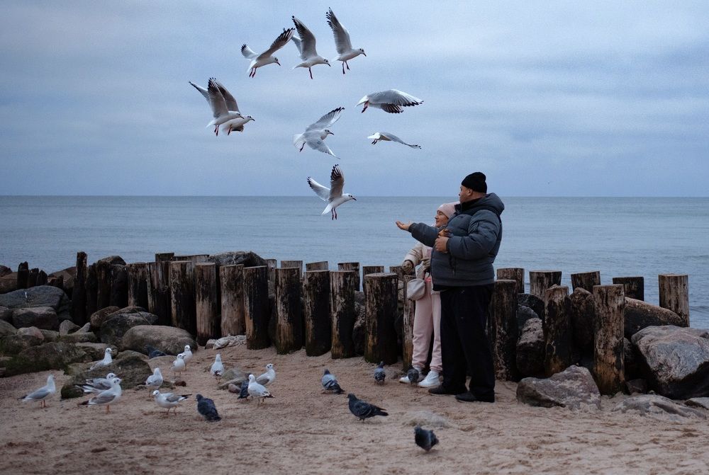 Photograph by Анна Новосельцева