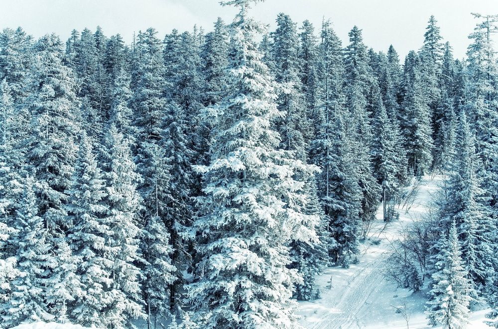 Photograph by Даниил Марков