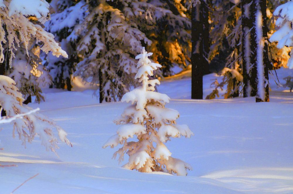 Photograph by Даниил Марков