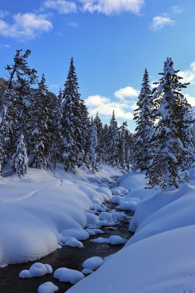 Photograph by Кощеева Марина