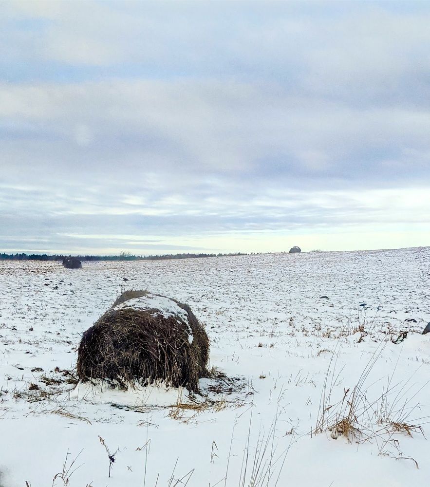 Фотография автора Ксения Шляйхер
