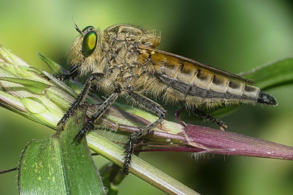 Photograph by Anupam More