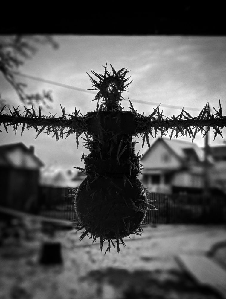 Фотография автора Ксения Шляйхер