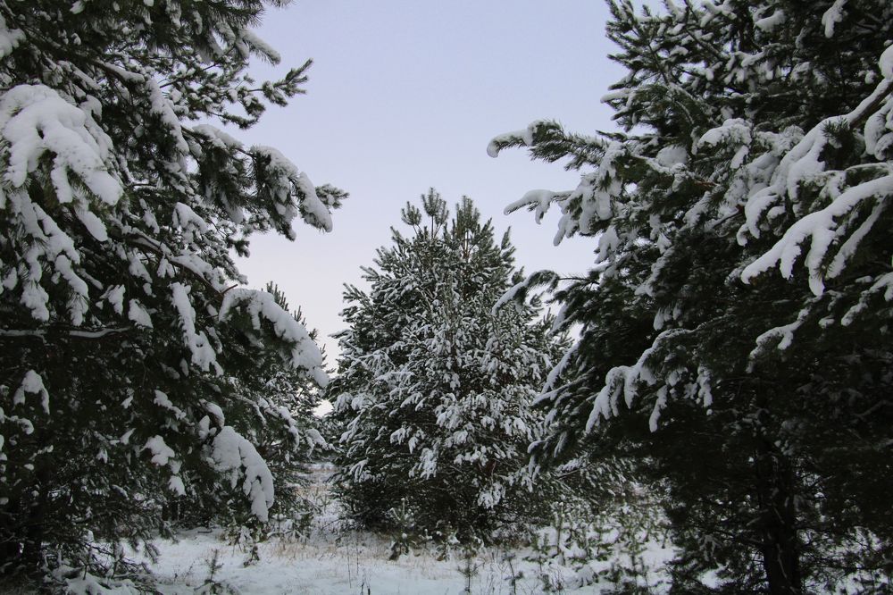 Photograph by Татьяна Иванникова