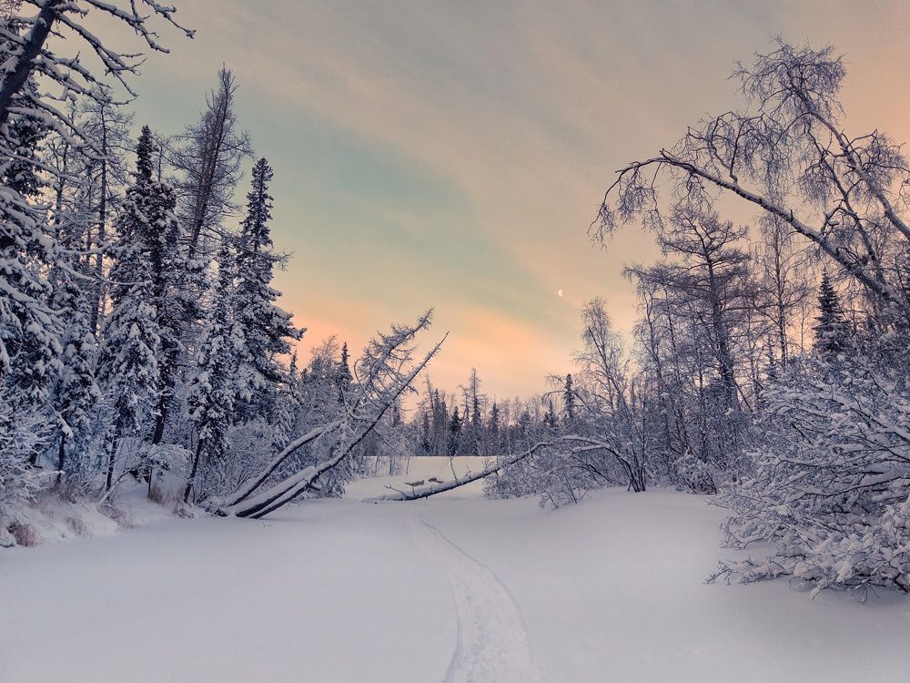 Photo #8486455