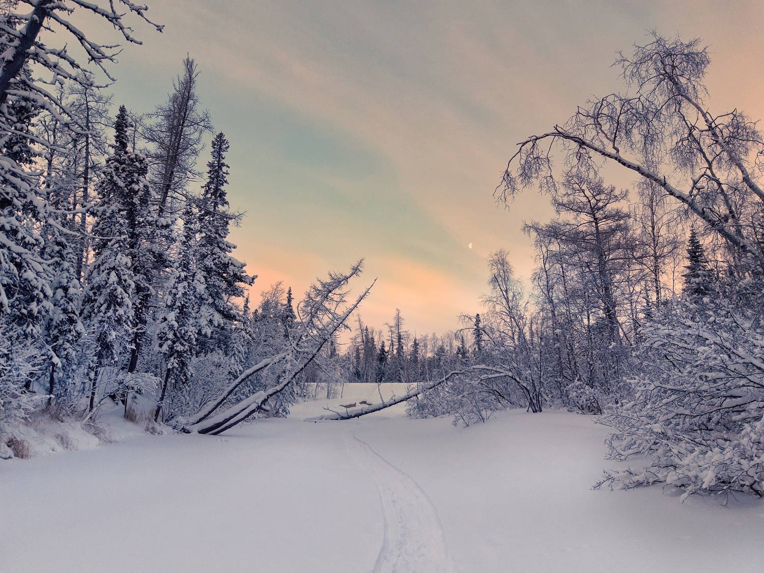 Photo #8486455