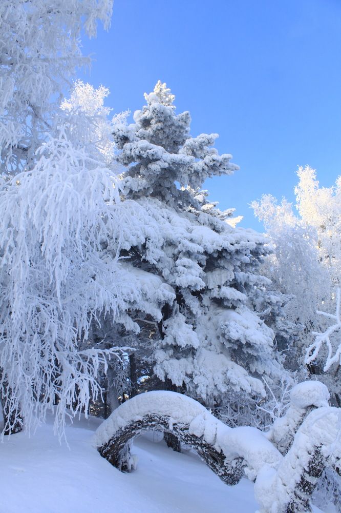 Photograph by Кузнечевская