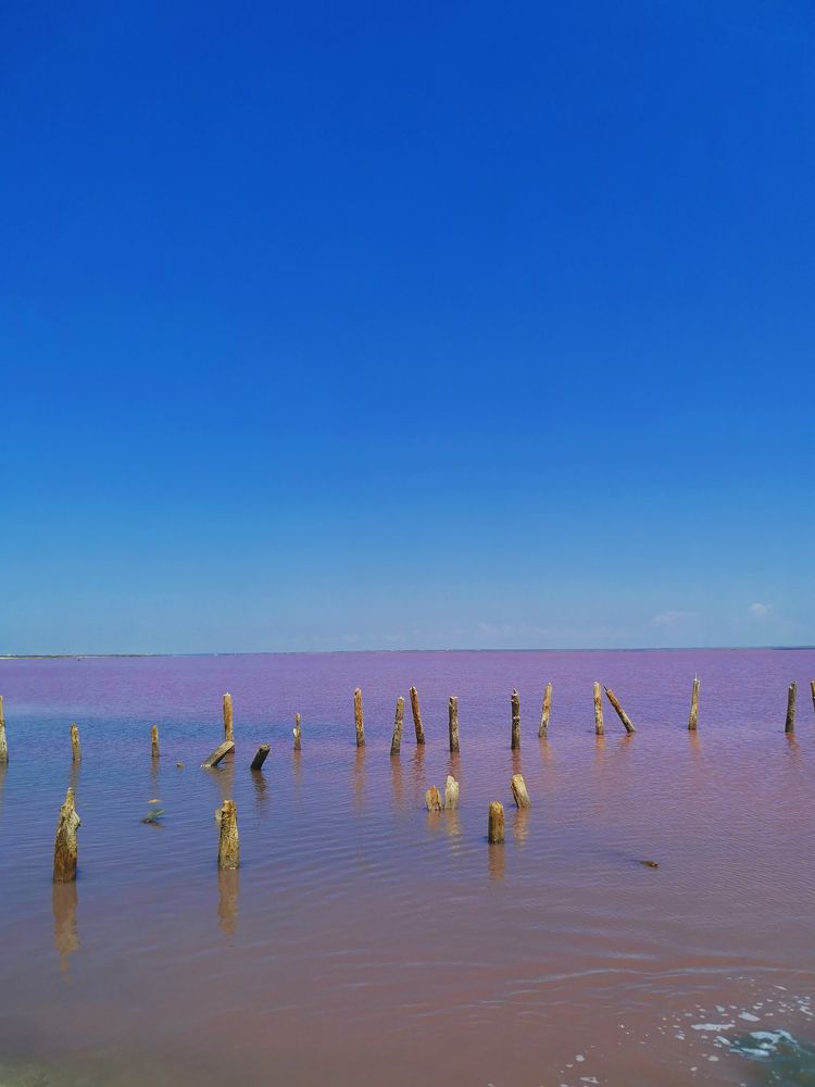 Photograph by Алена Горшкова